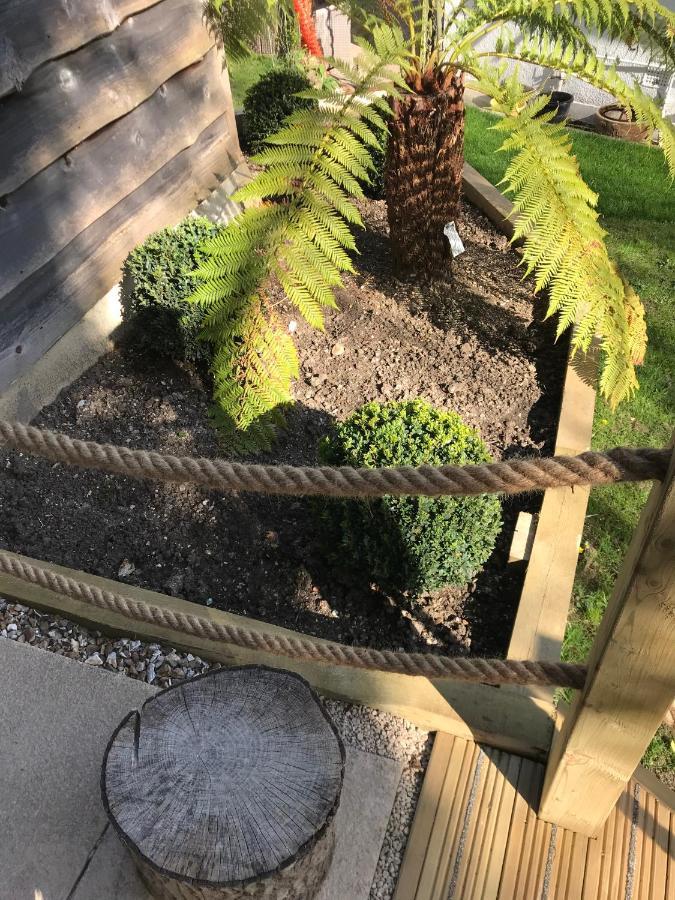 Winnie'S Corner - Self Contained Within The Grounds Of Another Property, In An Idyllic Wooded Setting Carlyon Bay Exterior foto